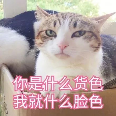 再发声明dg死不道歉骂完中国是屎还想赚中国人的钱你是什么货色,我就是什么脸色