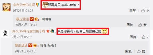 表情电竞周冬雨沉迷吃鸡给宠物取名98k阿怡神回复产业八卦07073产业频道表情