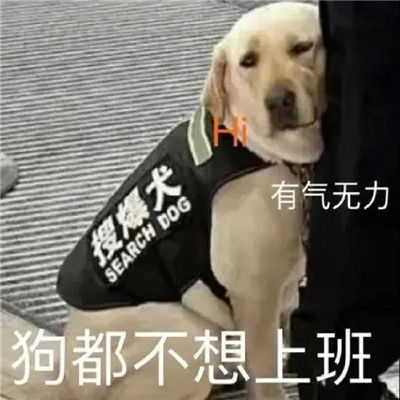 2021最新微信暴躁聊天表情包最经典暴走表情合集