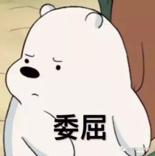韩国你不知道的冷知识