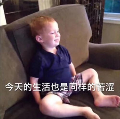 你的含咪量是多少