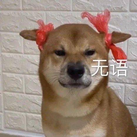 沙雕表情瞧你这个弟弟样