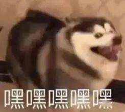 百年好合表情包狗子