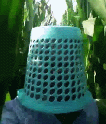 哪里有好玩的表情包搞笑gif