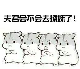 伤感表情包小仓鼠
