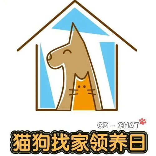 猫狗表情包微信公众号qq表情
