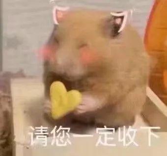 法社目光您有一封情书请注意查收