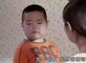 喝水都胖的表情包谢飞机