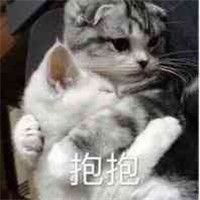 安慰拥抱表情包图片微信头像图片大全
