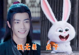 陈情令撞脸动物,魏无羡像兔子,蓝忘机像柴犬,而他最厉害表情