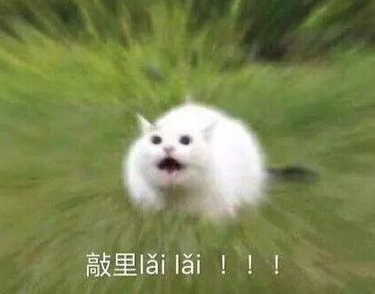 表情包做人呢最重要的就是不能让别人开心