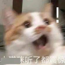 共享猫咪9.9元租一天店刚开就倒了