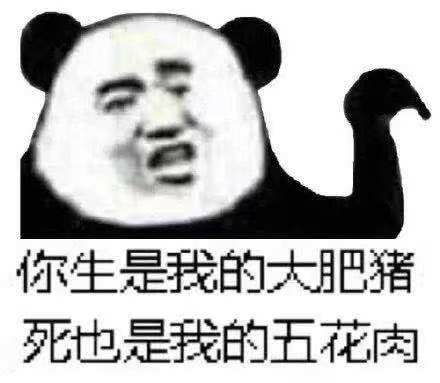 来往这打表情包小熊猫