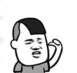 表情丨乌鸦坐飞机今日动图过分