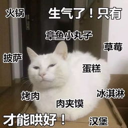 女朋友是猫,虽然傲娇,但是你在外面拈花惹草她都知道