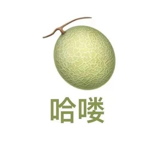 谐音梗表情包
