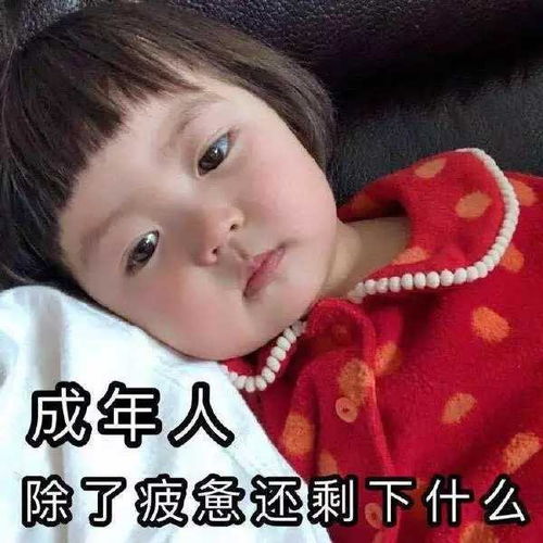 1收藏夹