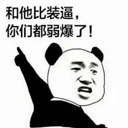 10个最low的汽车装饰及改装配件