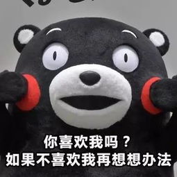 一组520专用表情包