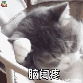 长春又现疯狂五四制省二四年级就开始抢跑了