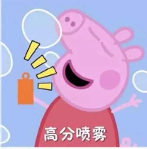 皮皮猪表情包图片名牌