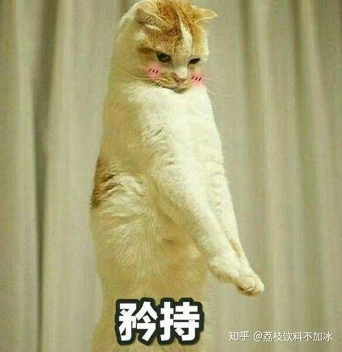 学生时代的你和老师之间发生过哪些有趣的事情