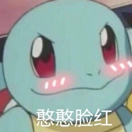 杰尼龟吹萨克斯表情包