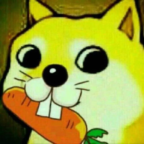 刘阿圆抱着猪的表情包食人花