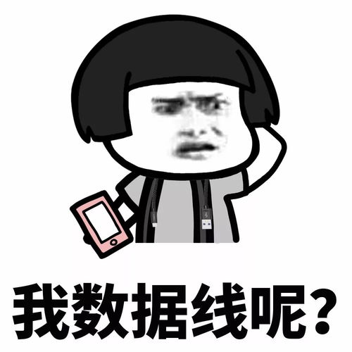 表情丨懵逼的日常生活