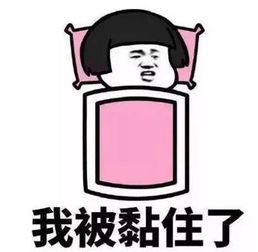 周末花都最低9挺过这一波就回暖啦,未来几天温度是