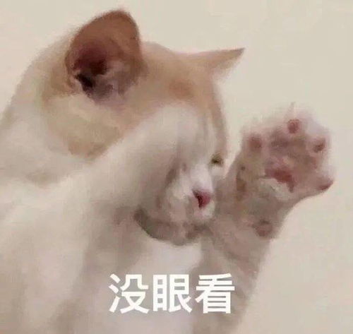 十橘九渣,还有一只诈骗犯