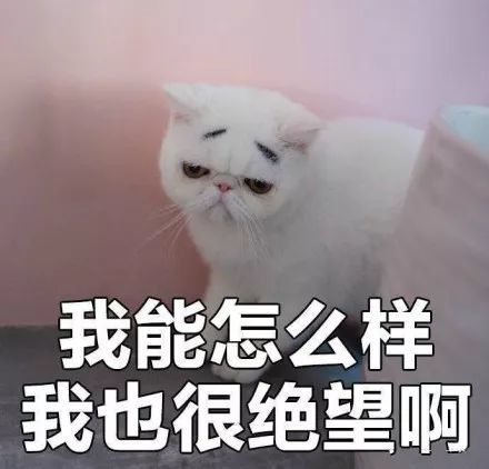 表情包你在吃什么有我的吗