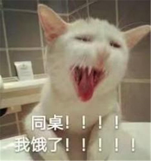 趴着的表情包图片笑话