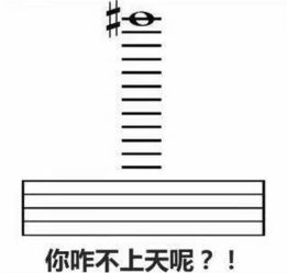 音乐学院斗图表情包大全