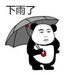 下雨了送你回家表情包送你回家