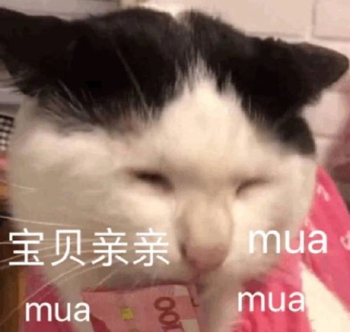最新热门常用表情包图片我瞧瞧,接下来是不是要凶我了