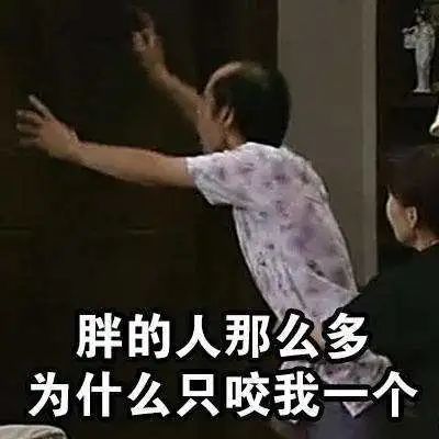 搞笑蚊子表情包,采访蚊子请问你为什么要咬我