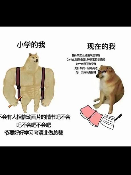 表情包小狗cheems不幸去世这些梗图值得珍藏