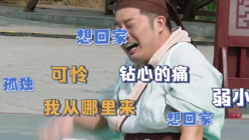 爆笑奔跑吧蔡徐坤郭麒麟沙溢体验趾压板,痛成表情包