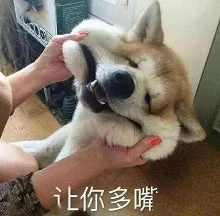 表情包是雾的话迟早会散的