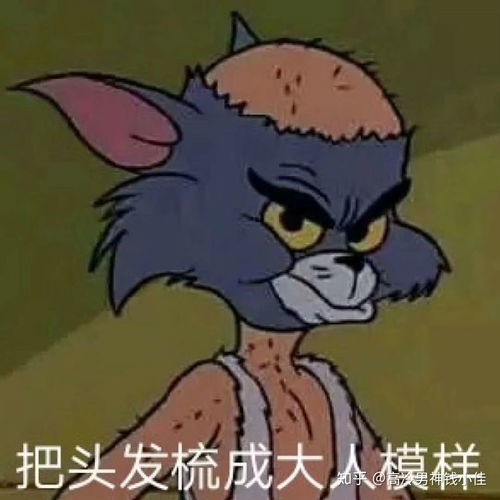 千山电动牙刷怎么样