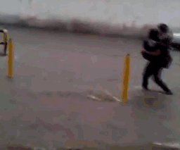 给我看看表情包gif痔疮