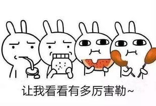 排队三天也要吃还有sei我水土不服,就服龙小帅