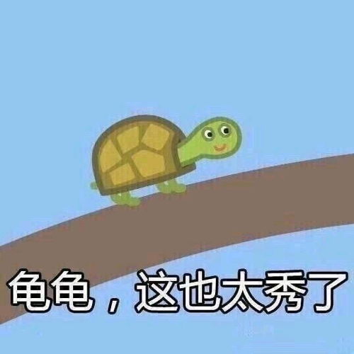 意想不到竟然有用屁股呼吸的乌龟