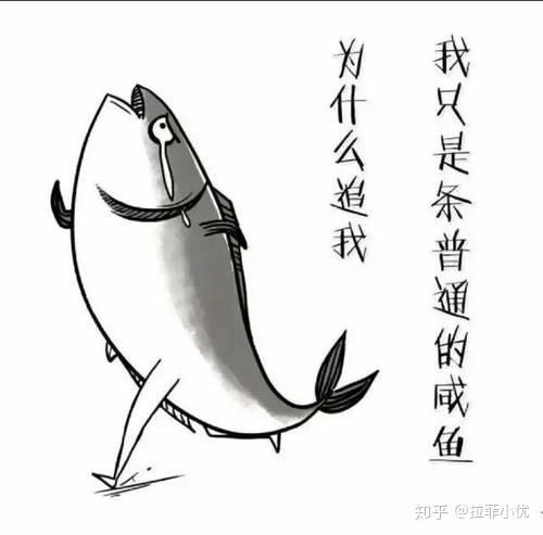 洗地机和扫地机器人我应该选择哪一个洗地机和扫地机器人推荐指南