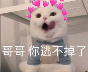嗲妹专用撒娇表情包会撒娇的女人最好命