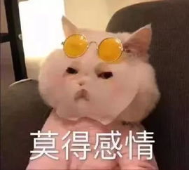 日本一推主制作出了汉字版俄罗斯方块,咱们中国人玩着玩着就哭了...