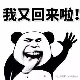 辞了杭州的工作来新加坡,我感受到了这些差异