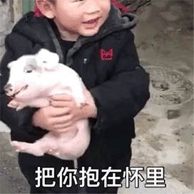 萌娃斗图表情包gif图合集我看你是活腻了