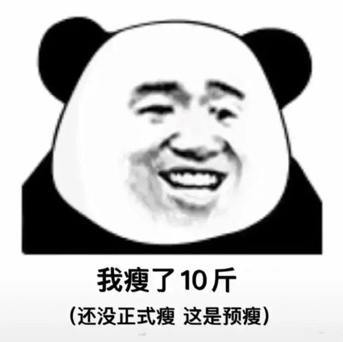 斗图表情包怎么和我聊天就困了